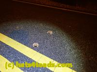 /home//u458753944/public_html/sourcegallery//////Roxborough Toad Detour/2022/2022-03-07/P3070836.JPG